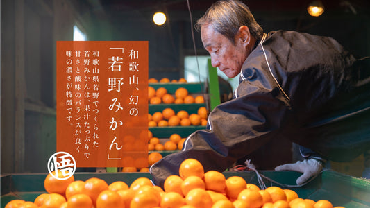 トピックス – 圦本悟農園みかん